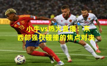 小牛vs热火直播：东西部强权碰撞的焦点对决