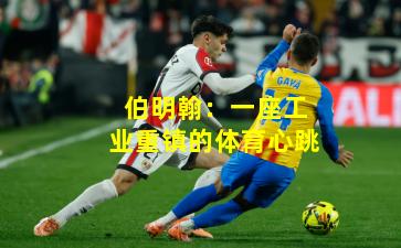 伯明翰:一座工业重镇的体育心跳