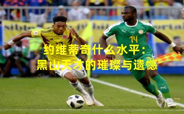 约维蒂奇什么水平：黑山天才的璀璨与遗憾